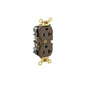 Leviton 5362 Duplex Receptacle Outlet, Extra Heavy-Duty