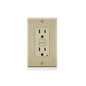 Leviton GFNT1-I 15 Amp, 125 Volt Receptacle/Outlet
