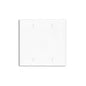 Leviton 80725-W 2-Gang Blank Wallplate, Standard Size, Thermoplastic Nylone